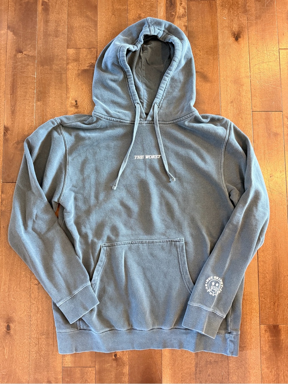 NSBNF Not Skinny But Not Fat Amanda Hirsch gray “the worst” hoodie